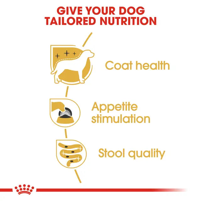 Royal Canin Yorkshire Adult Wet Food 12x85g
