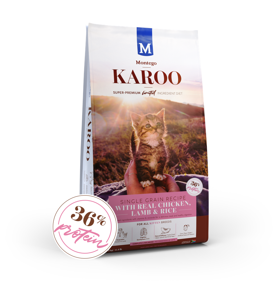Montego Karoo Cat Kitten Chicken & Lamb