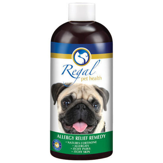 Regal Allergy Relief Remedy 400ml Bottle