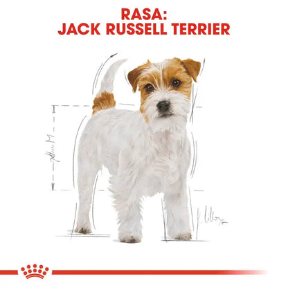 Royal Canin Jack Russel Adult