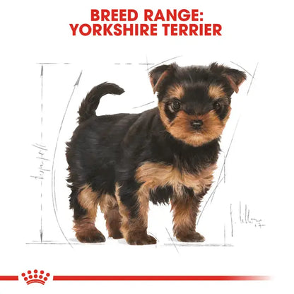 Royal Canin Yorkshire Terrier Puppy