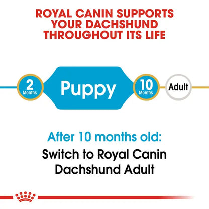 Royal Canin Dachshund Puppy