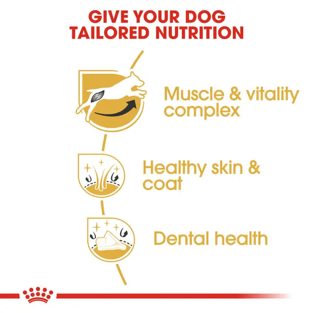Royal Canin Jack Russel Adult
