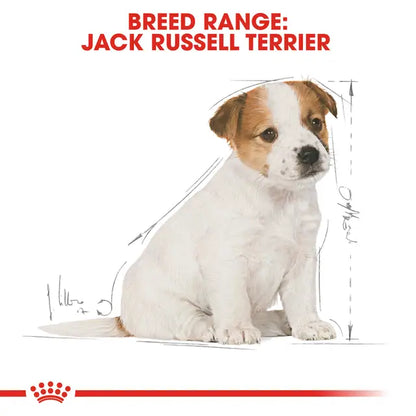 Royal Canin Jack Russel Puppy