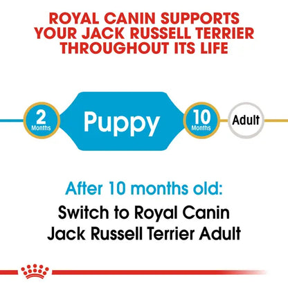Royal Canin Jack Russel Puppy