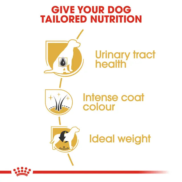 Royal Canin Schnauzer Adult