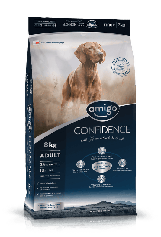 Amigo Confidence Adult Large