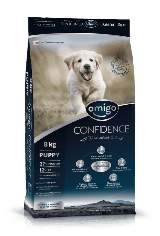 Amigo Confidence Puppy