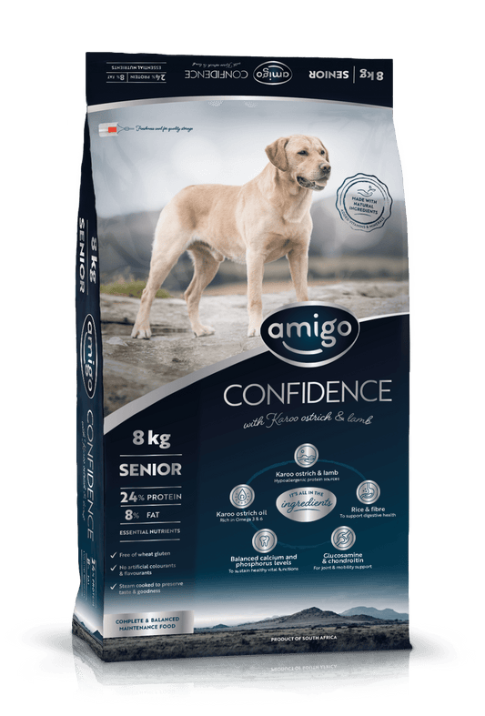 Amigo Confidence Senior
