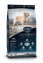 Amigo Confidence Senior