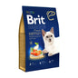 Brit Premium Cat Adult Salmon