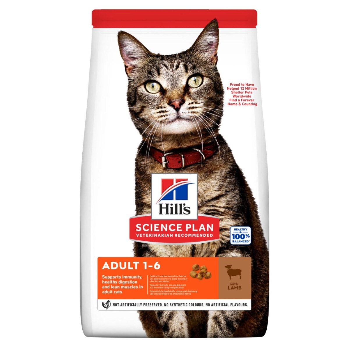 Hill's Adult Cat Lamb Flavour