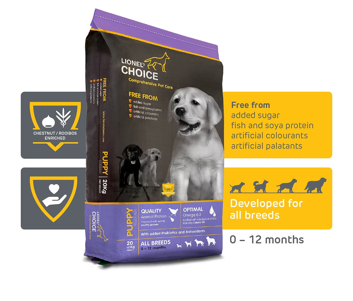 Lionel's Choice Puppy