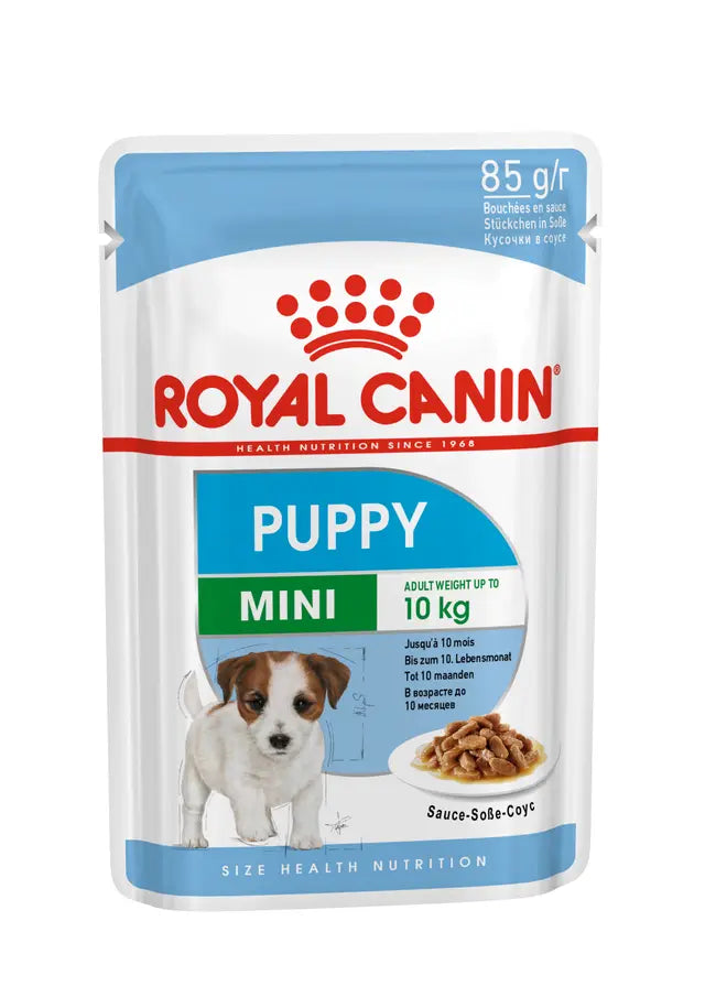 Royal Canin Mini Wet Food