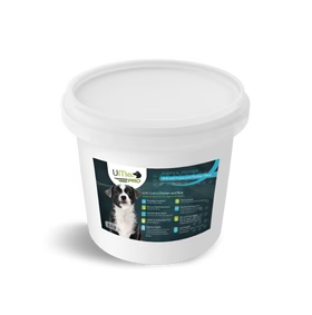 Ume Pro Puppy & Mother