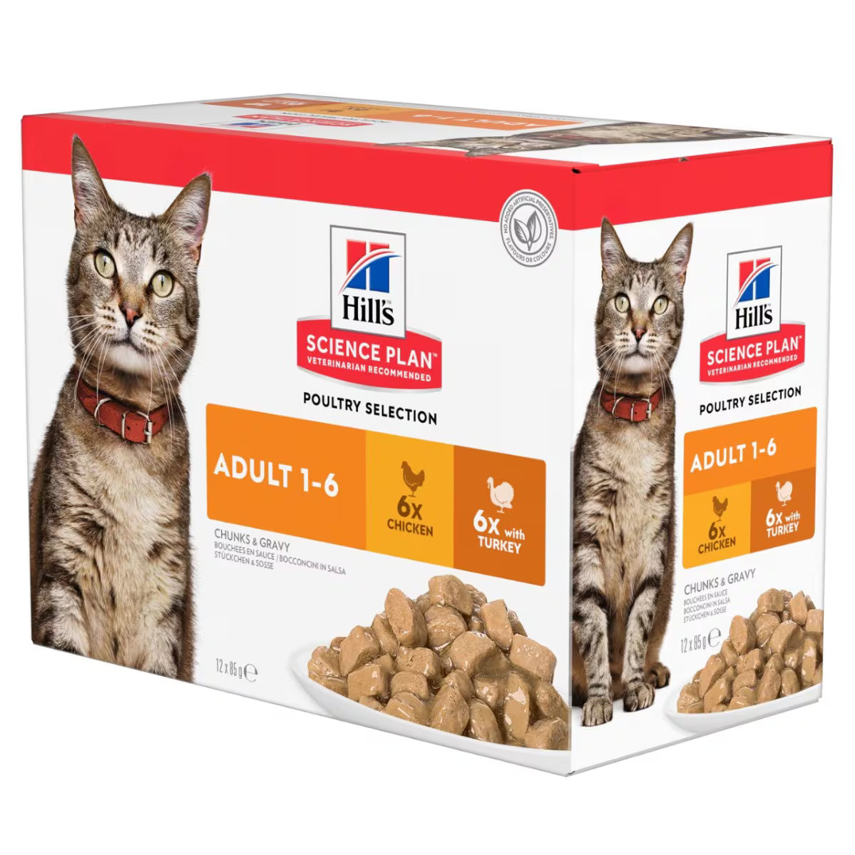 Hill's Adult Cat Wet Chicken & Turkey box