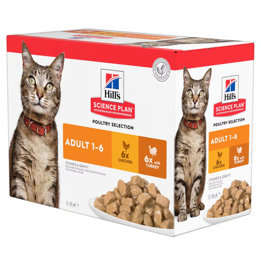 Hill's Adult Cat Wet Chicken & Turkey box