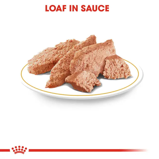 Royal Canin Yorkshire Adult Wet Food 12x85g