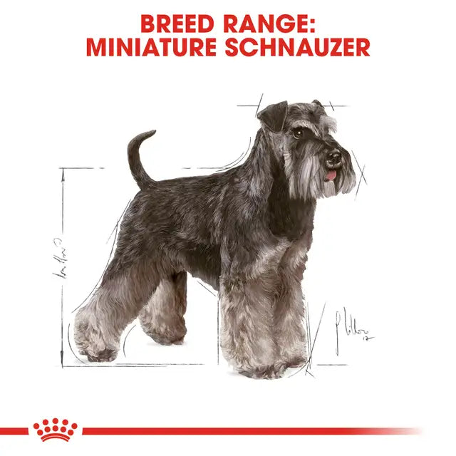 Royal Canin Schnauzer Adult