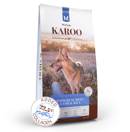 Montego Karoo Adult Single Grain 8kg