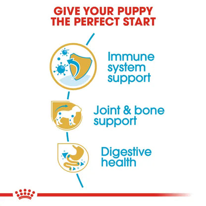 Royal Canin Dachshund Puppy