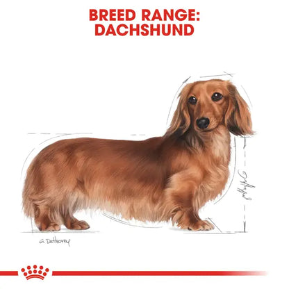 Royal Canin Dachshund Wet Food 12x85g