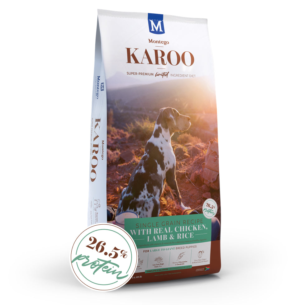 Montego Karoo L/Giant Puppy Chicken Lamb & Rice
