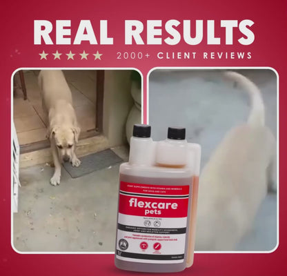 Camelus Flexcare Pets