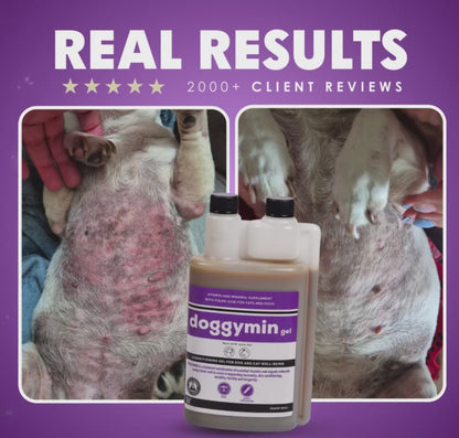 Camelus Doggymin Gel Peanut Flavour